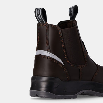 HAWK - BROWN